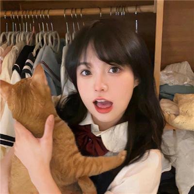 南极日志